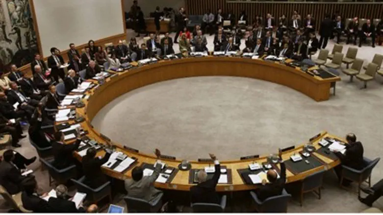 UN Security Council