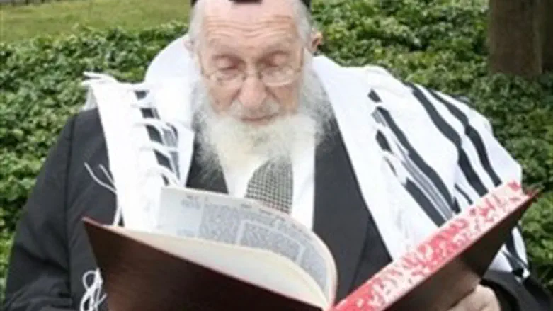 Rabbi Chaim Pinchas Scheinberg