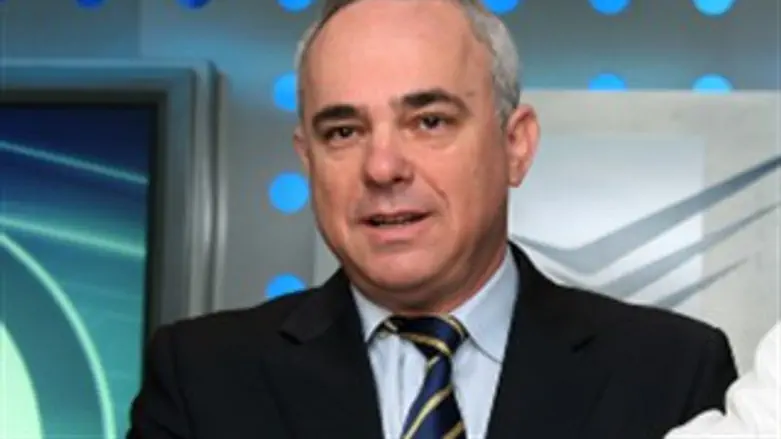 מסע הסברה כלכלי. שטייניץ