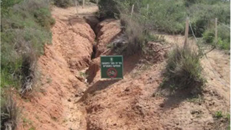  שמורת בני ציון 