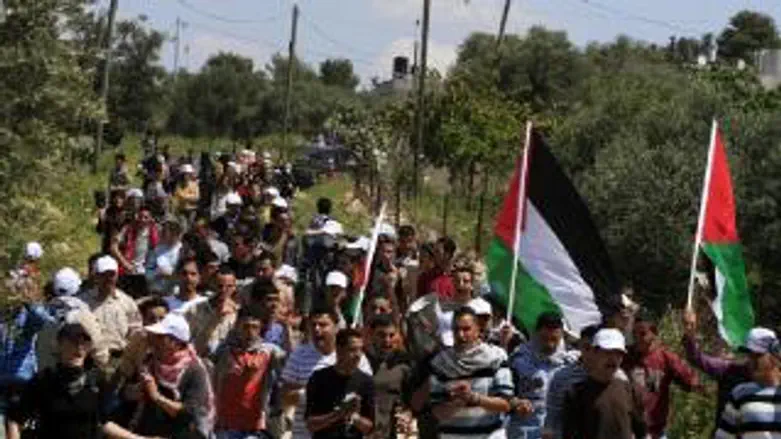 צעדת יום האדמה. ארכיון