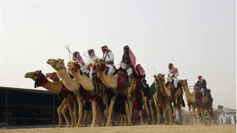 Camel Riders