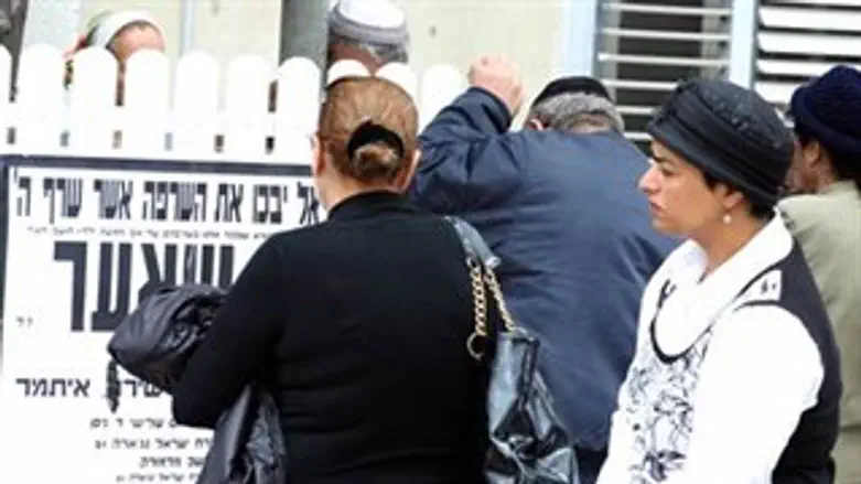 האלמנה אביבית שאער