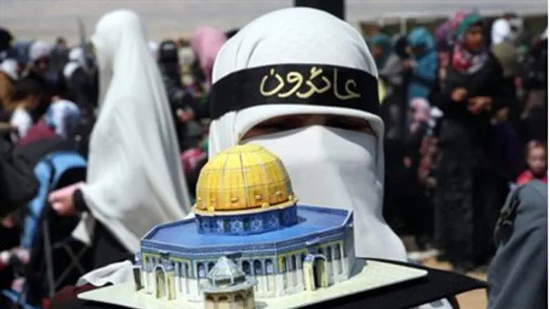 Activist holds a model of the Dome of the Roc