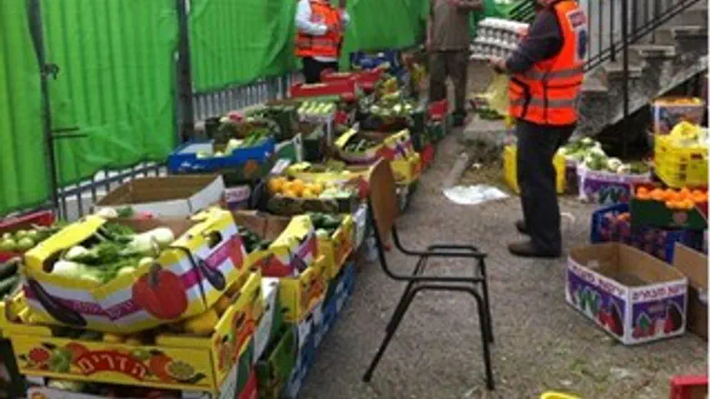 מסייעים בכל דרך