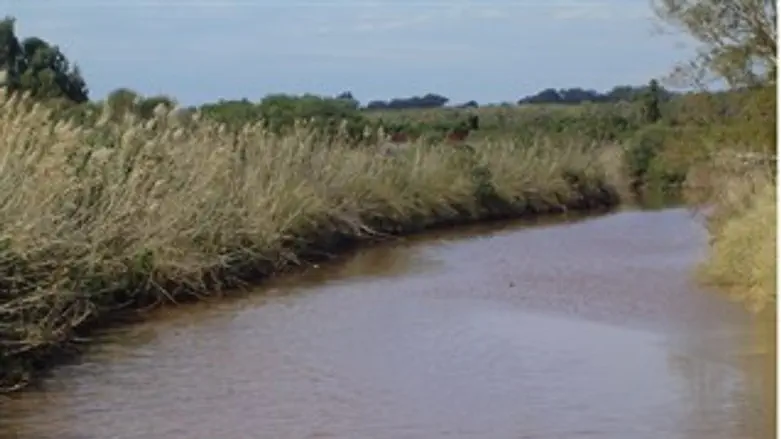 נחל אלכסנדר
