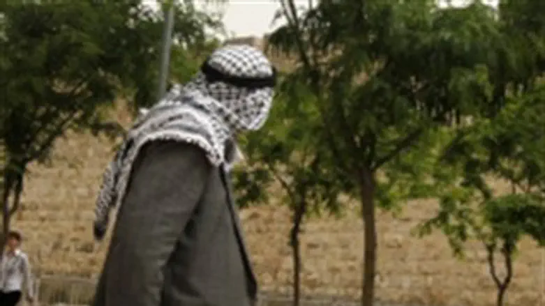 אילוסטרציה