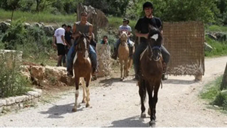 מטיילים בגוש עציון