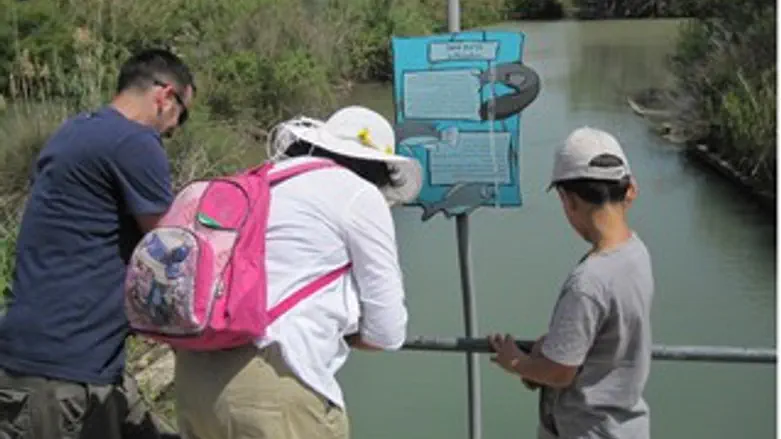 ומטיילים בשמורת הטבע עין אפק