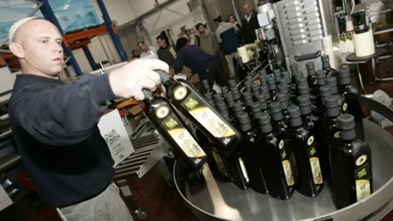 Kosher oil production