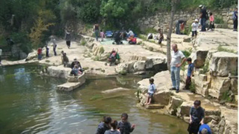 מטיילים בנחל