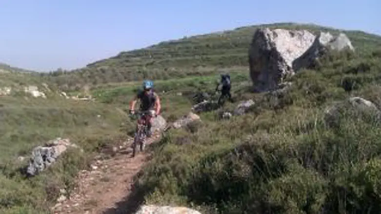 שביל האופניים בתל שילה