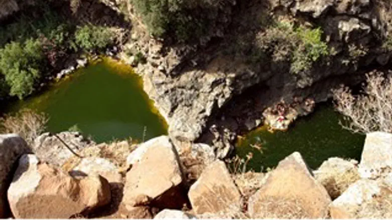 פסטורליה מסוכנת. הזויתן