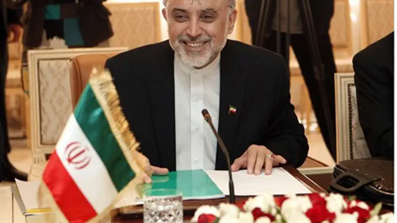 AEOI head Ali Akbar Salehi