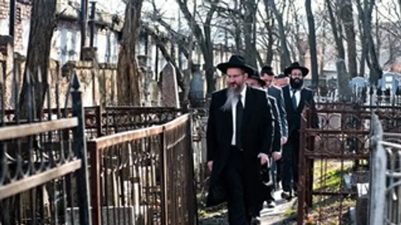 הצלה ברוסטוב