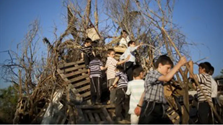 היצמדו למדורות. ארכיון
