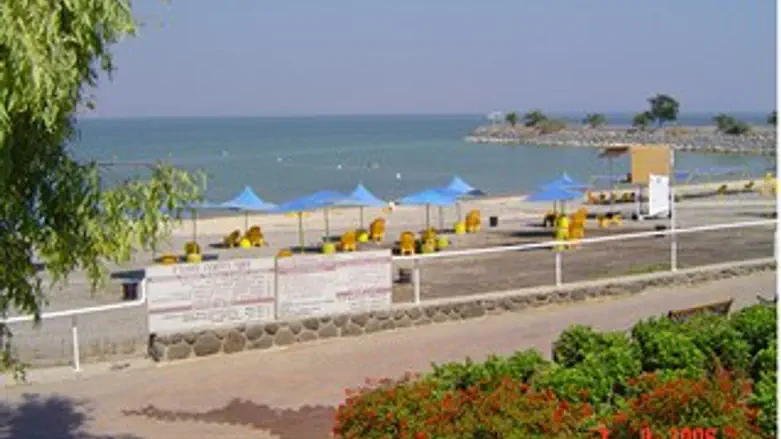 לחופי הכנרת