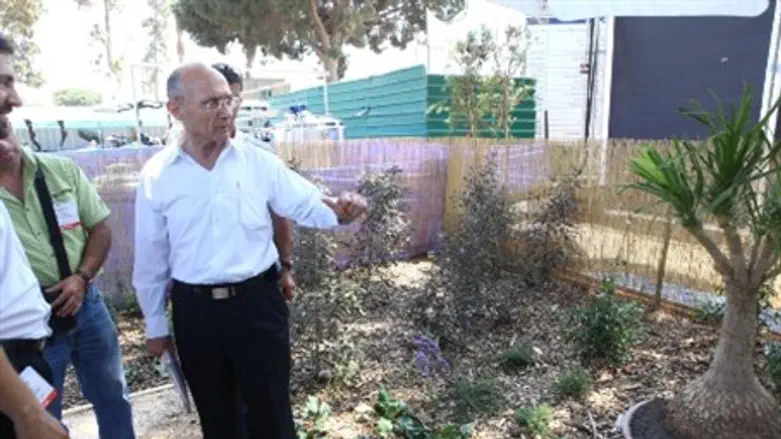 Landau at water-efficient garden