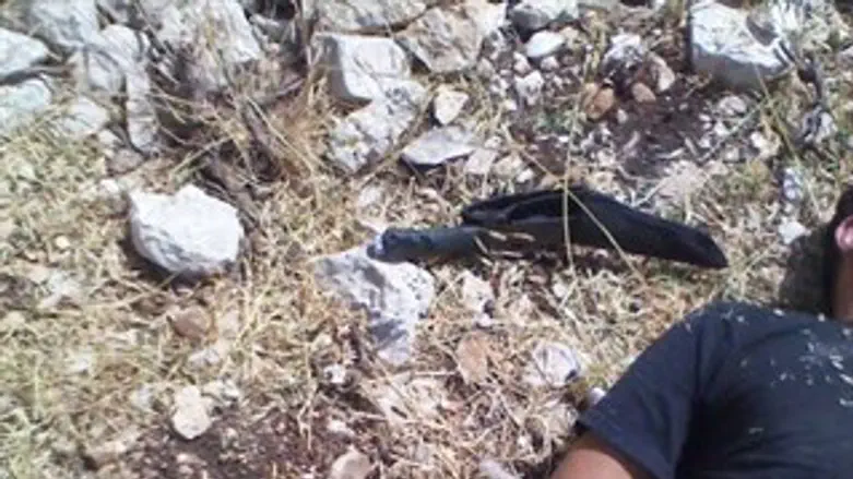 המחבל הפצוע והסכין