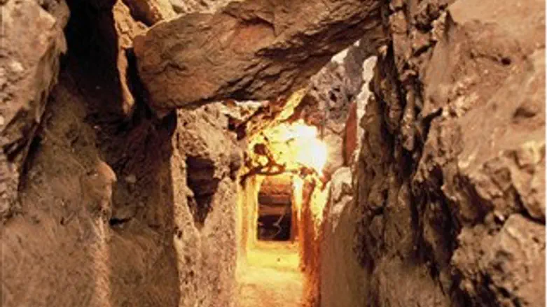 מיזם חדש בעיר דוד