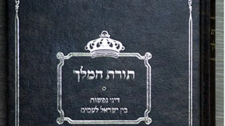 דיני נפשות. תורת המלך