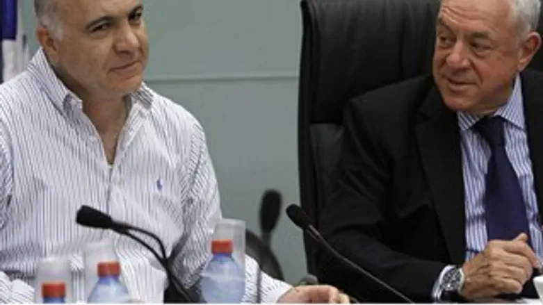 כהן ובר און בדיוני הועדה