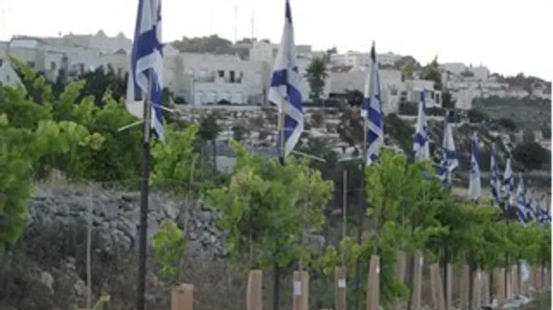 עצים לבטחון