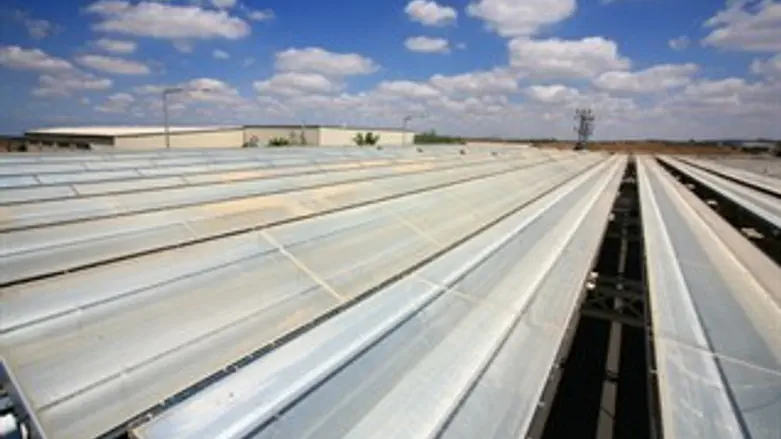 נציגות ישראלית מקרינה