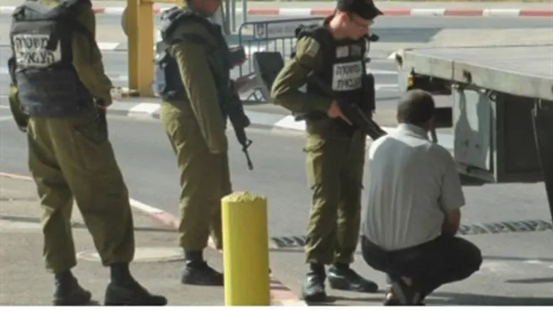 Taoz soldiers in action