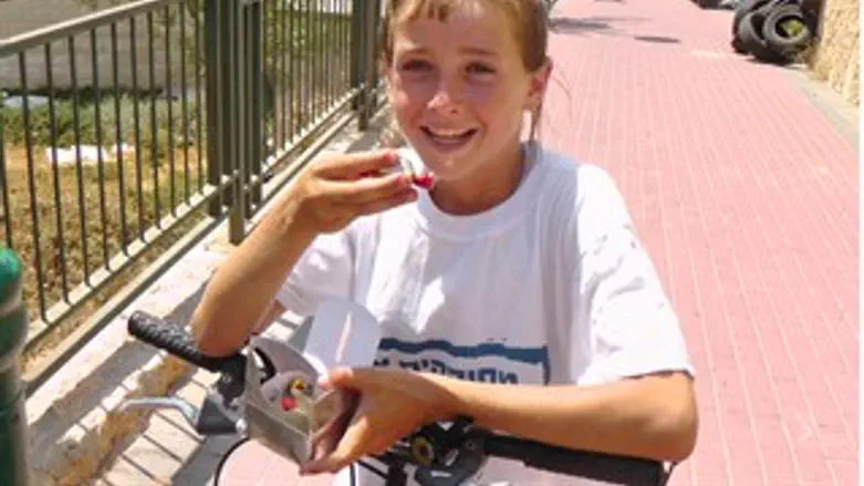 שוקולד בשכונת האולפנה