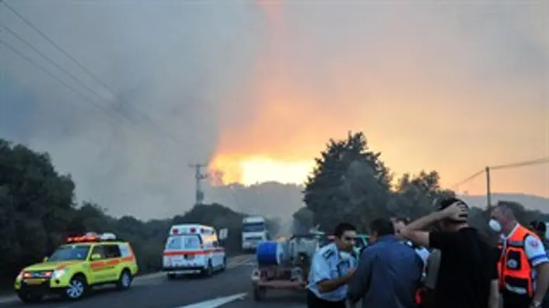 אומץ וליקויים. שוטרים במהלך ההתמודדות עם השרי
