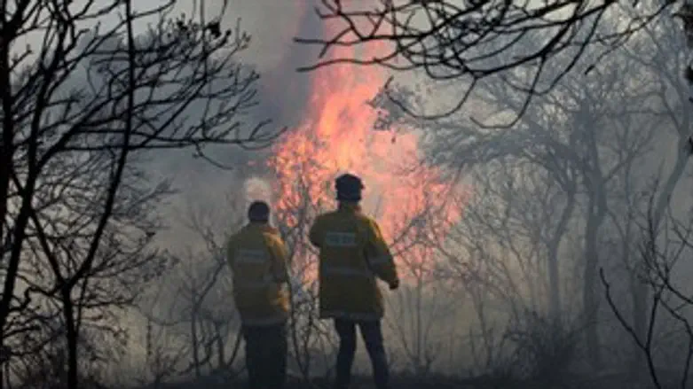 לא ערוכים לשריפות חורש