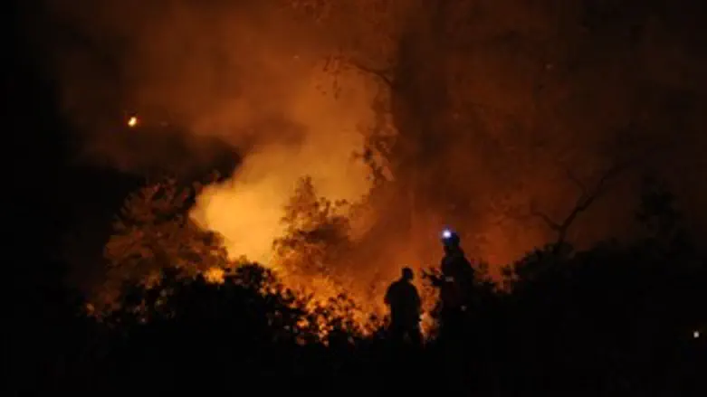 לא ערוכים. השריפה בכרמל