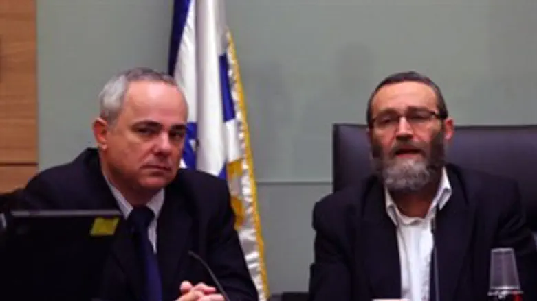 גפני שטייניץ