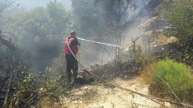 Последствия пожара. Иллюстрация