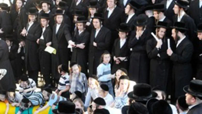 חסידי נדבורנה