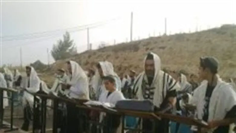 שכונת האולפנה