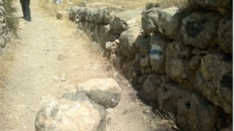 האבנים שדורדרו