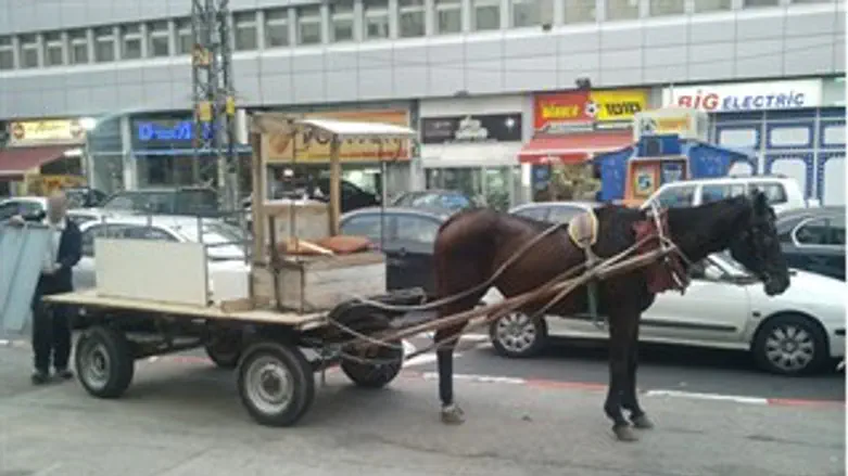 למצולם יש קשר לאמור בכתבה