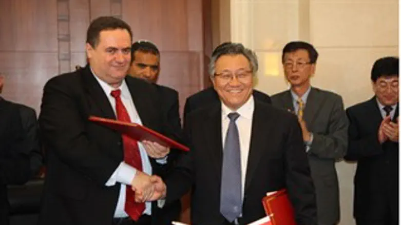 כץ ומארחו הסיני