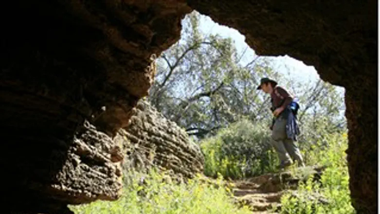 אילוסטרציה