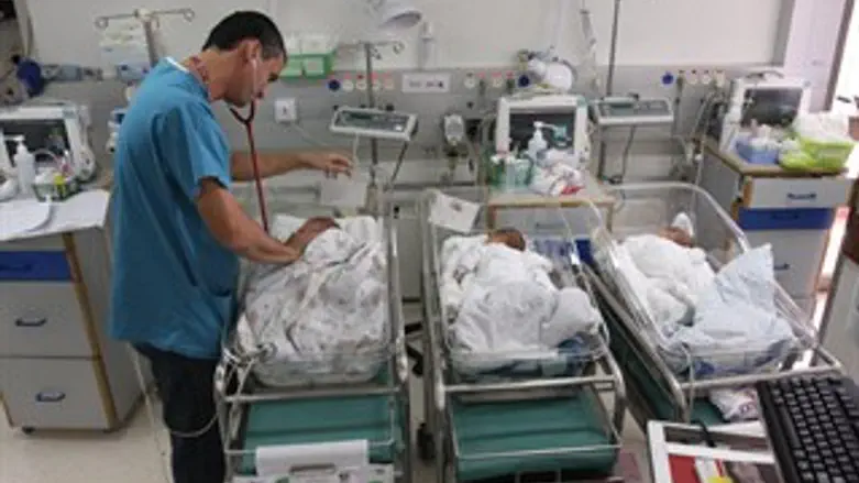 הפגיה ברמב"ם