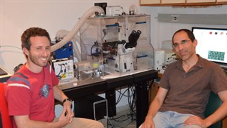 דוקטור ערן משורר ושי מלצר