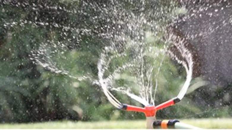 היעילים בעולם