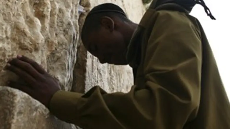 צריכים ליווי?