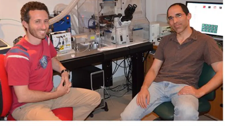 Shai Melcer, Eran Meshorer at HU lab