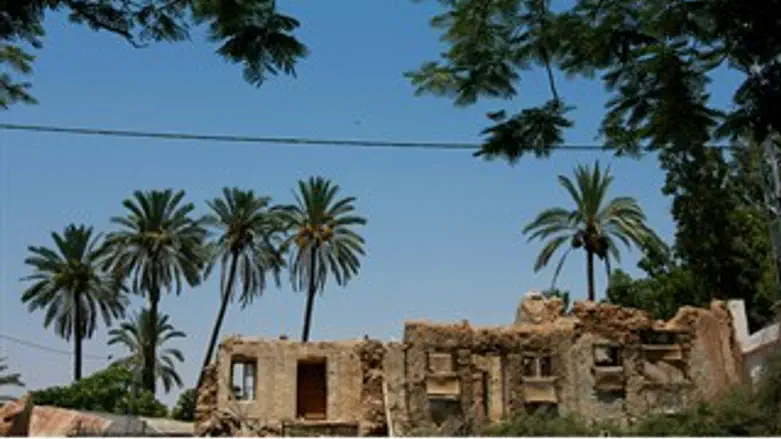 יריחו מאז ולעתיד