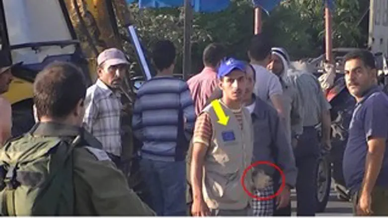 הפעיל עם האבן