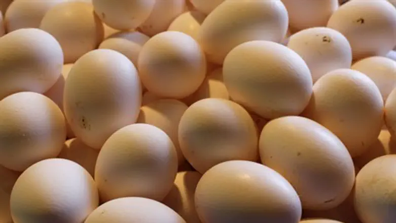 Eggs