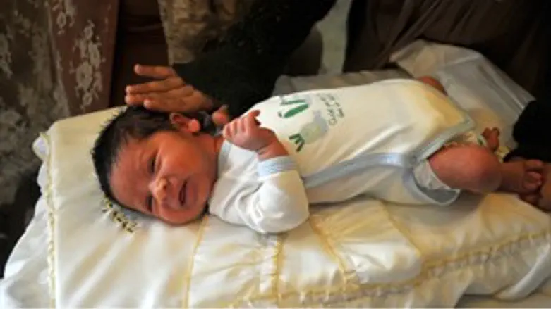 תינוק ברית מילה